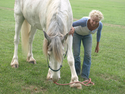 Suzie and Phantom at Milky Way Farm